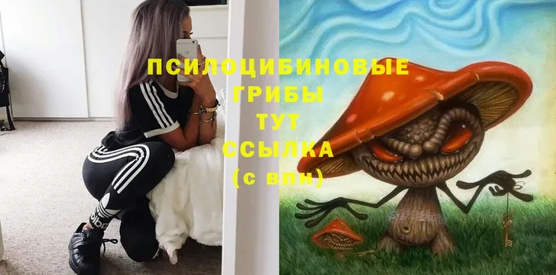 Псилоцибиновые грибы MAGIC MUSHROOMS  Пермь 